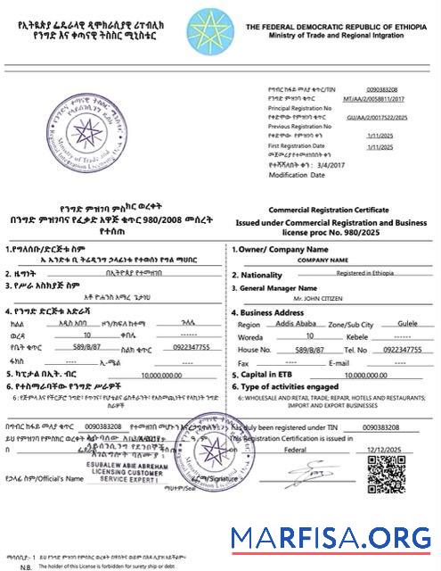 Realistic Ethiopia commercial registration certificate Word and PDF template